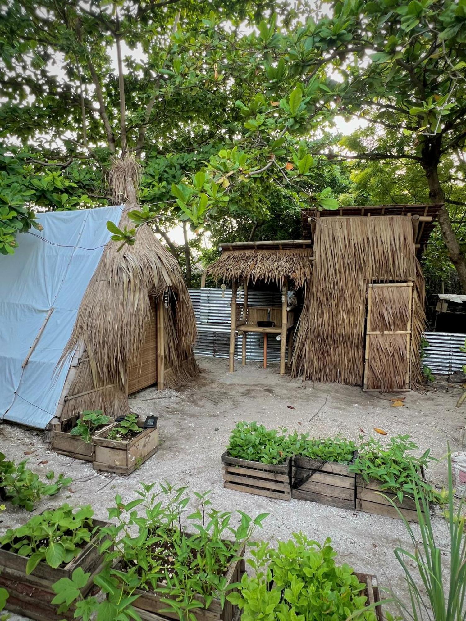Tribal Huts Community Hostel Daanbantayan Bagian luar foto